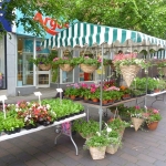 Whitchurch (Shropshire) Gardeners' Market - Saturday 24th May 2014
